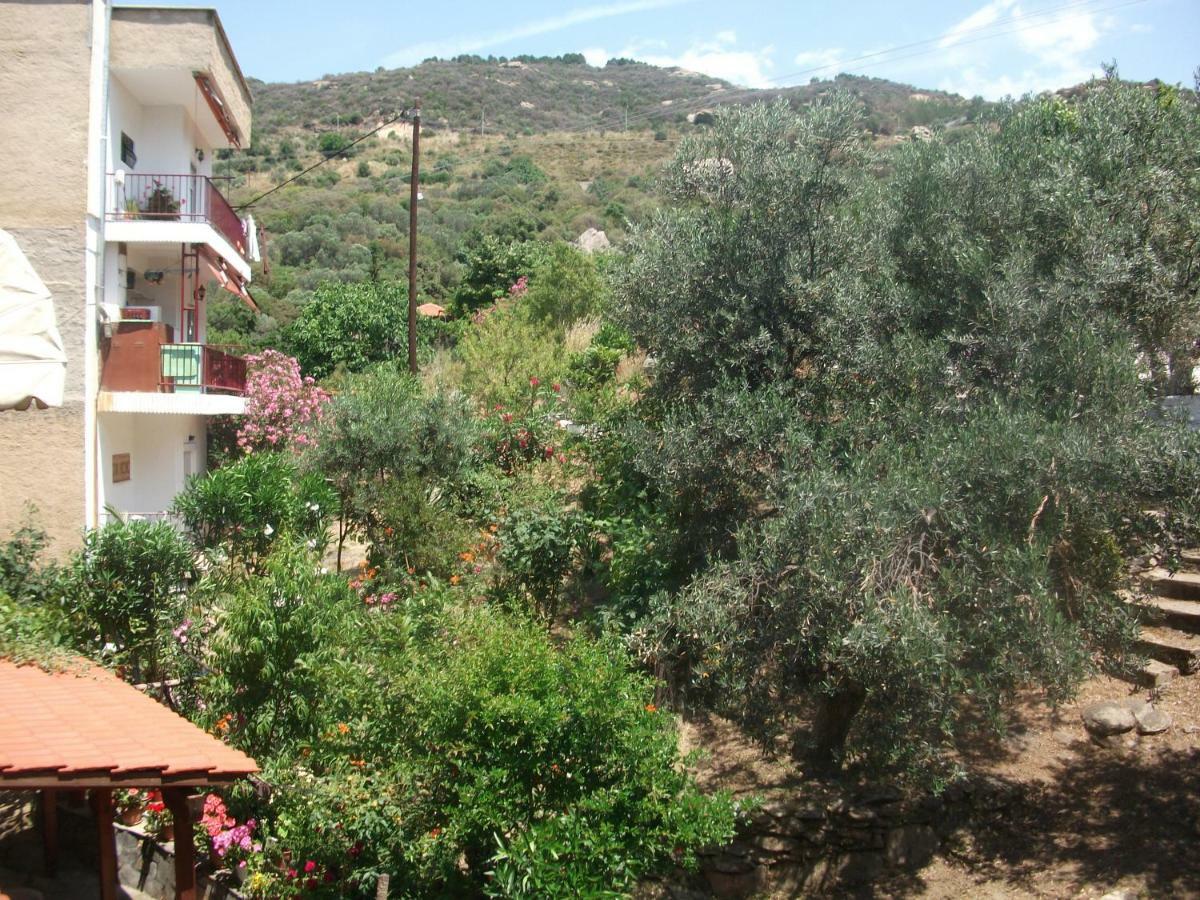 Apartment Konstantina's House PalaiónTsiflíkion